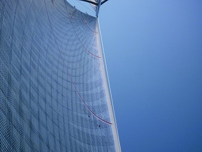 [Immagine: 20118164735_fiocco 30-7.jpg]